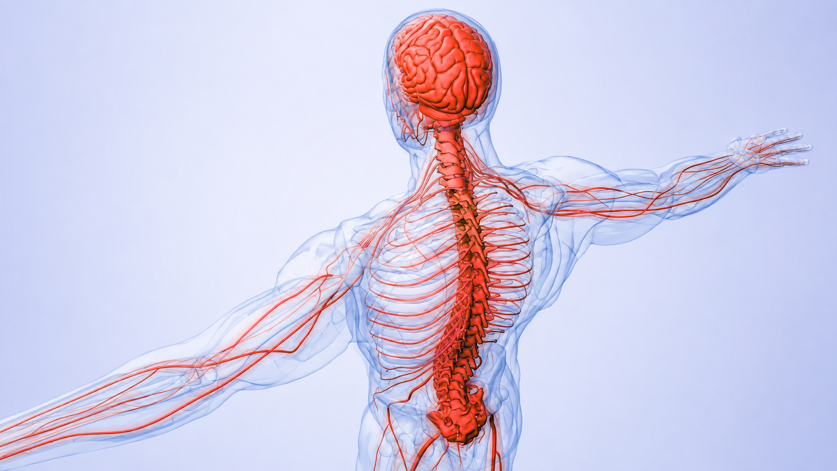Nervous System Intelligence