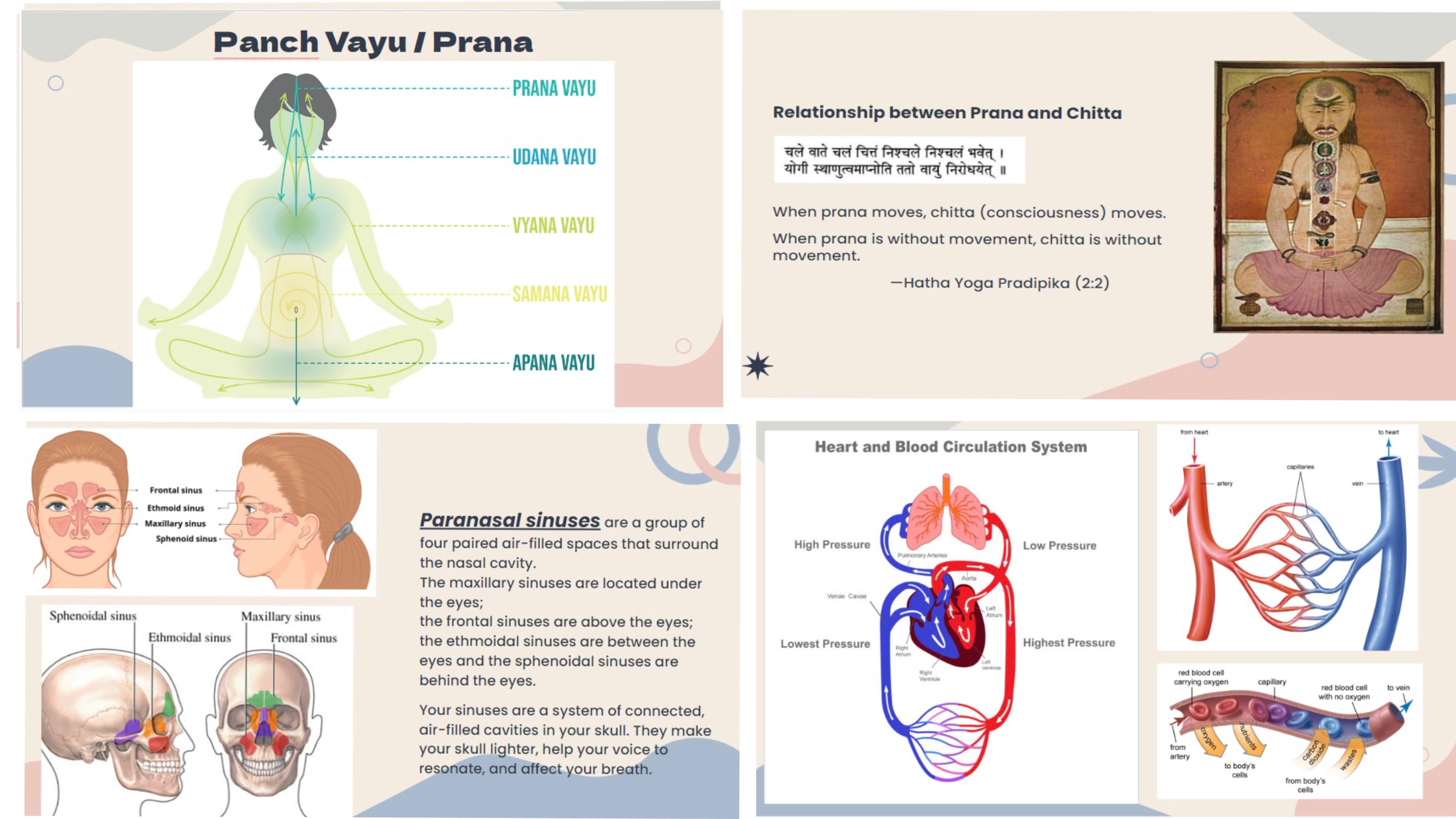 manali yogashala pranayama course image